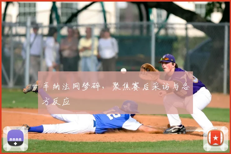 辛纳法网梦碎,聚焦赛后采访与各方反应